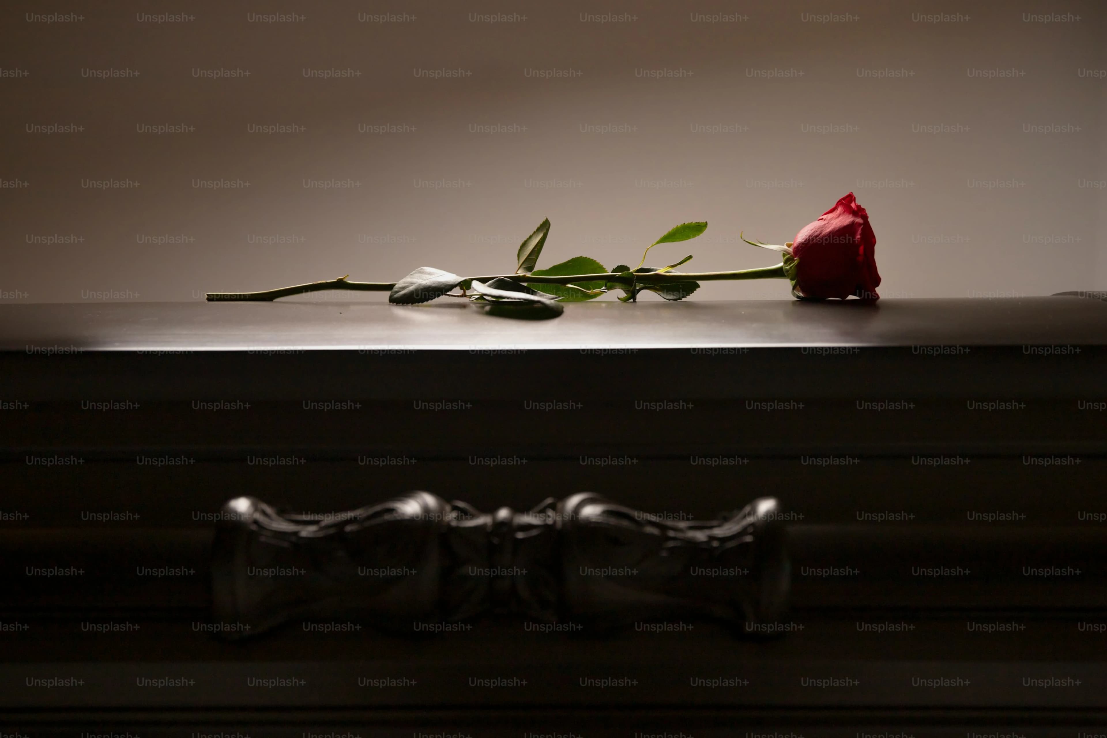 Flores brancas preparadas para uma homenagem